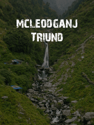 Mcleodganj triund