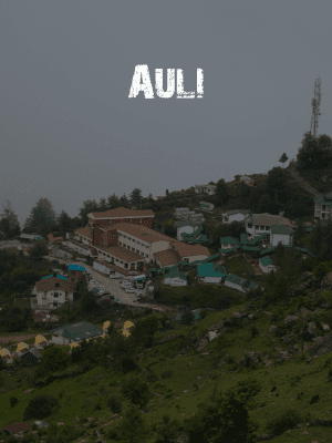 Auli Trip